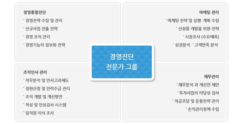 경영진단 컨설팅